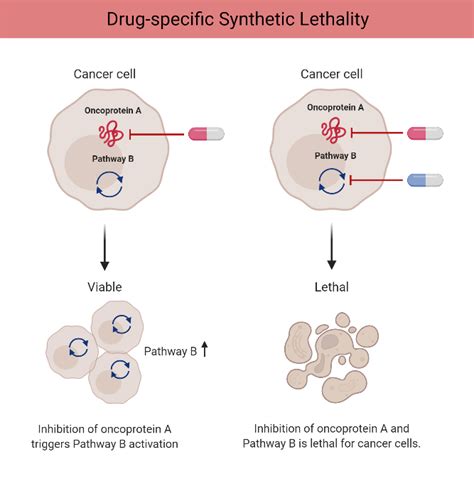 Drug-Specific Synthetic Lethality | BioRender Science Templates