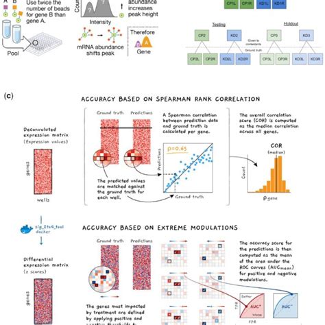 (a) Schematic of the deconvolution procedure, (b) overview of the data ...