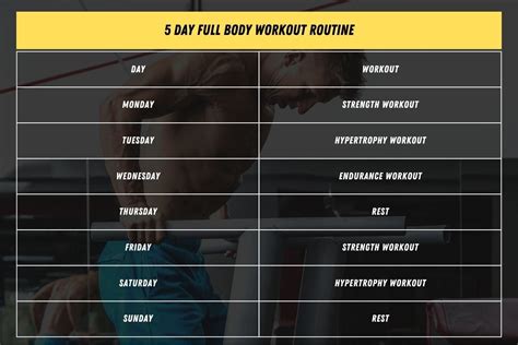 The 5 Day Full Body Workout Routine with PDF