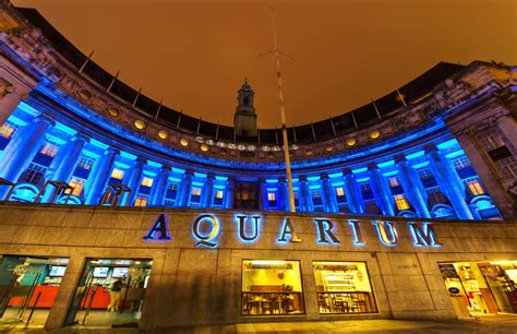 London Aquarium | StillGlimmers.com