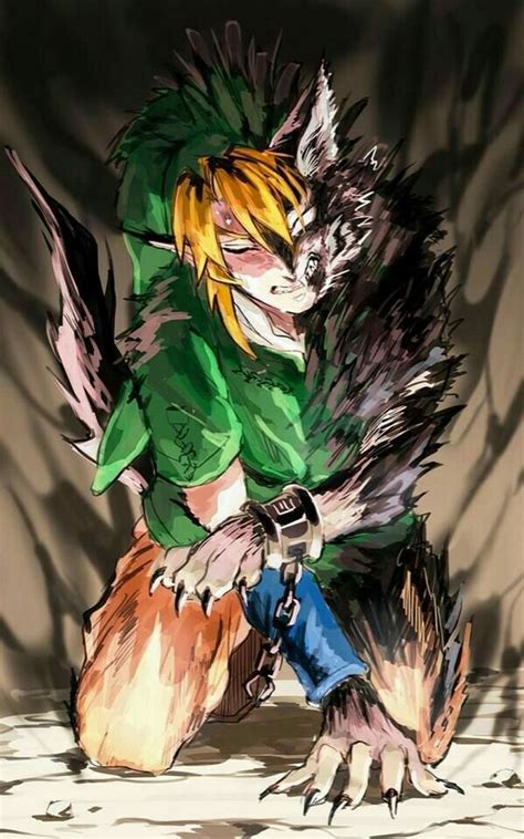 Link turning into a wolf | Legend of zelda, Zelda twilight princess ...