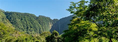 Waipio Valley Shuttle Tour | Big Island Guide