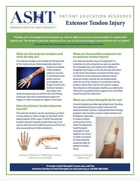 Extensor Tendon Injury and Repair — Ability Hand to Shoulder Rehabilitation