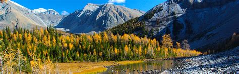 Fall and Winter Camping in Provincial Parks | Alberta Parks