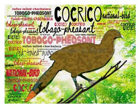 Tobago National Bird Cocrico Word Cloud Printable Art PNG - Etsy