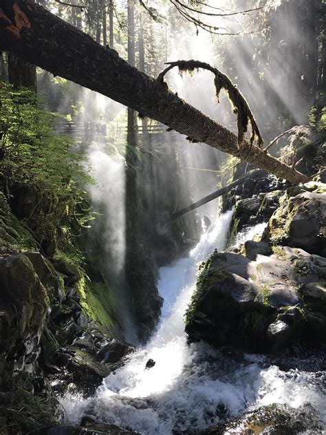 Sol Duc Falls in Olympic National Park : r/Outdoors