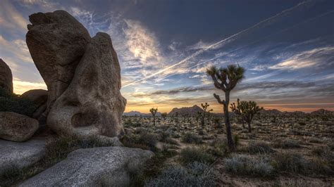 Immagini California USA HDR Natura Deserto Montagne