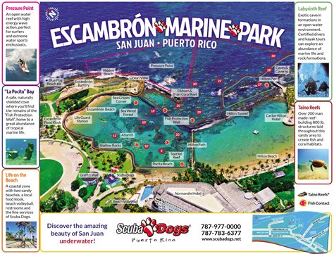 Escambrón Marine Park – Scuba Dogs