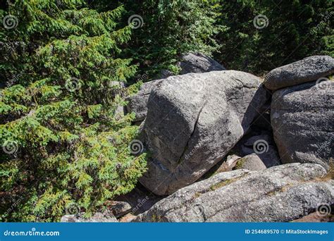 A Big Granodiorite Rock Isolated On White Background. Royalty-Free Stock Photo | CartoonDealer ...