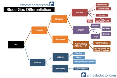 The Anion Gap - almostadoctor