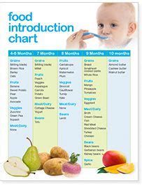 Gerber Baby Food Stages - Food Network B