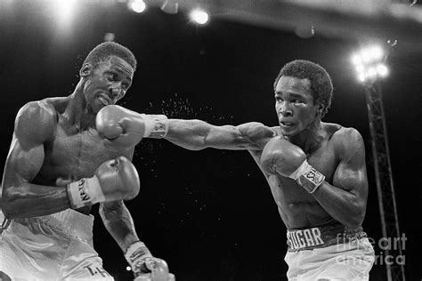 Sugar Ray Leonard Jabbing Tommy Hearns by Bettmann