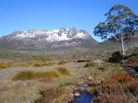 Mount Ossa (Tasmania) - Alchetron, The Free Social Encyclopedia