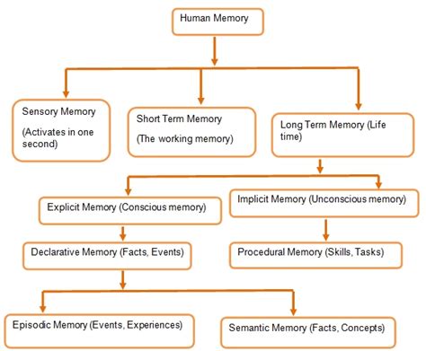 Memory Chart Stages in Psychology - 561 Words | Report Example