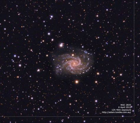 NGC 2835 Spiral Galaxy - Adam Lundie - Eatons Hill Observatory