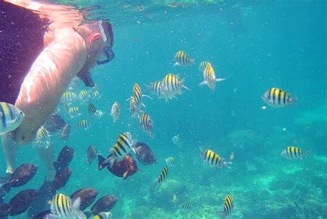 Snorkeling in Cancun, Things to do Cancun