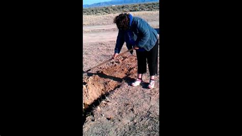 Homestead Preppers Off Grid Day One Desert Garden - TheWorldOfSurvival.Com