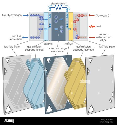 Proton exchange membrane (PEM) fuel cell Stock Photo: 24070363 - Alamy