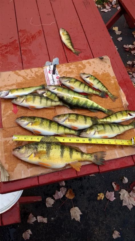 portage_lake – Michigan Fishing Report