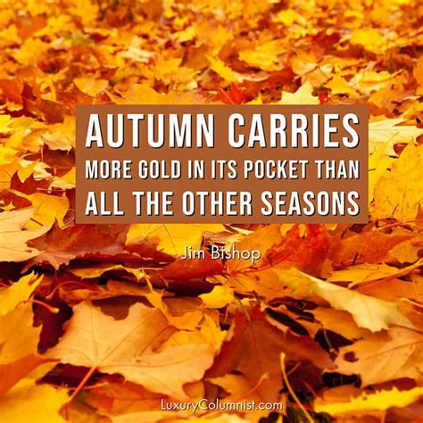 85+ Inspirational Fall Quotes | Short, Happy And Funny Autumn Sayings