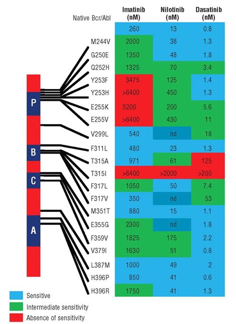 Sensitivity of Bcr-Abl kinase domain mutations to tyrosine kinase ...