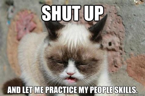 shut up/kmh | Grumpy cat humor, Funny animal memes, Funny animals