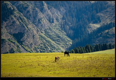 The beauty of Dzungarian Alatau mountain range · Kazakhstan travel and tourism blog