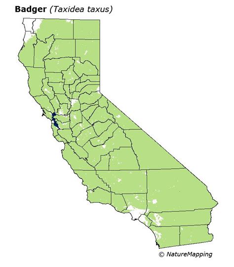 Badger Habitat Map