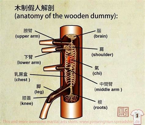 Anatomy of the wooden dummy | Wing chun martial arts, Martial arts ...