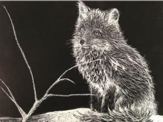 Scratch Art Animals - North Woods Art