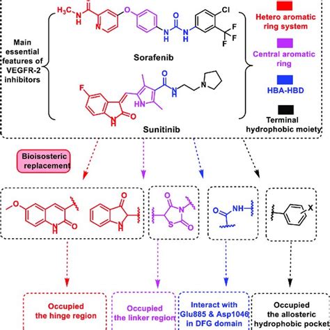 The design rationale of proposed VEGFR-2 inhibitors.... | Download Scientific Diagram