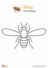 Wasp Coloring Pages For Kids – Free Printables  Art & Craft sketch template