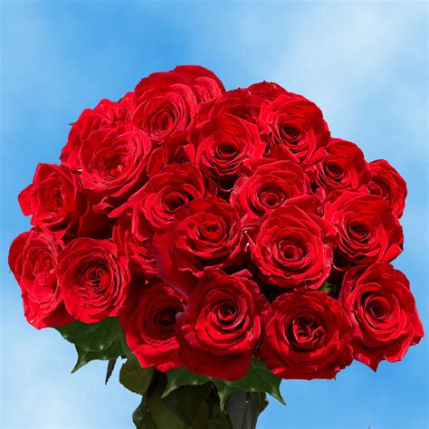 The Best Places To Order And Send Flowers Online