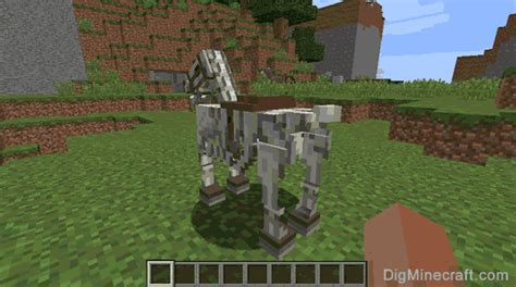 How to Tame and Ride a Skeleton Horse in Minecraft