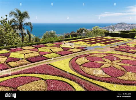 Botanical garden of Funchal at Madeira Island, Portugal Stock Photo - Alamy