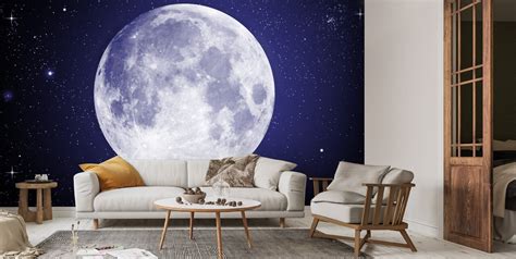 Stars and Moon Wallpaper | Wallsauce US