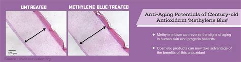 Now Antioxidant Methylene Blue can Give You Youthful Skin