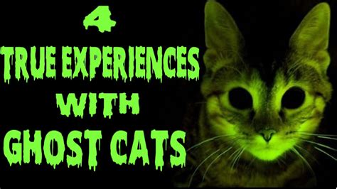 4 True Experiences with Ghost Cats - YouTube