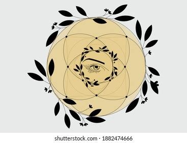 89 Vesica piscis Images, Stock Photos & Vectors | Shutterstock