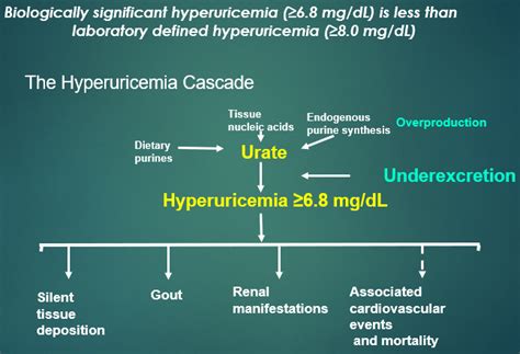 Unique Clinical Implications of Hyperuricemia and Hypertension - CME INDIA