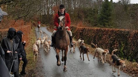 Fox hunt meets for final time after 250 years - BBC News