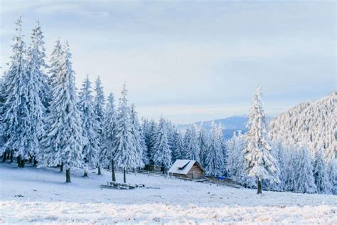 Kullu Manali Weather In February - pic-nugget