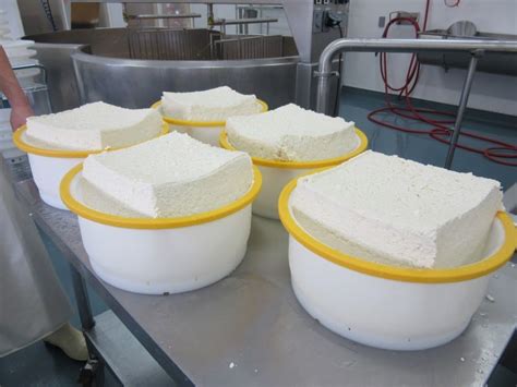 Cheese Making Process - Thunder Oak Cheese Farm