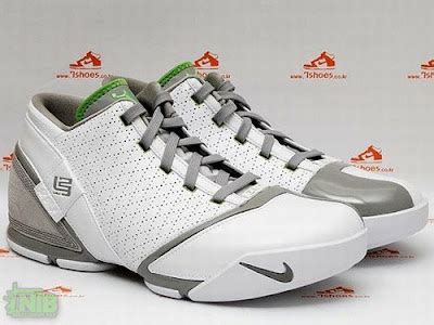 An Exclusive Look at Nike Zoom LeBron V Low DUNKMAN | NIKE LEBRON ...