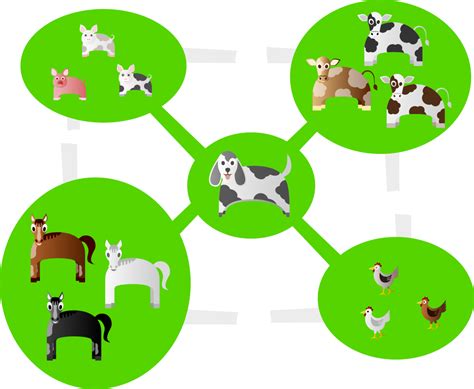 A diagram of farm animals Clip Art Image - ClipSafari