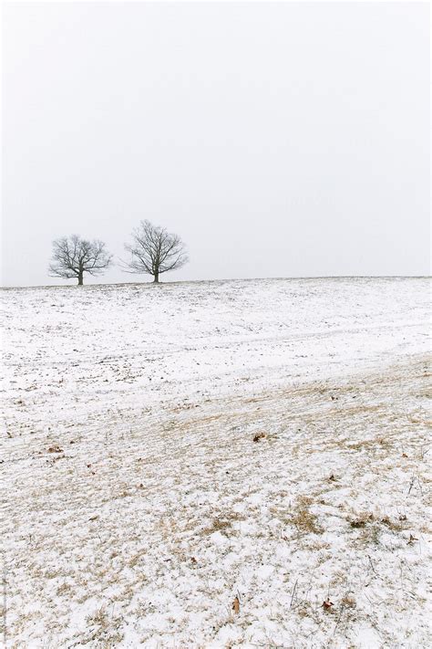 "Rural Winter Scene In Massachusetts" by Stocksy Contributor "Raymond Forbes LLC" - Stocksy