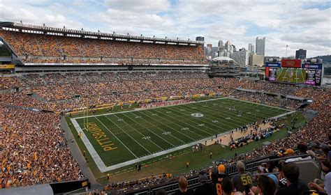 Pittsburgh Steelers - Stadium Dude