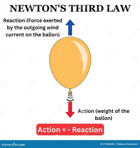 Newtons Third Law Example Newton S Law 3rd Science Balloon Action ...