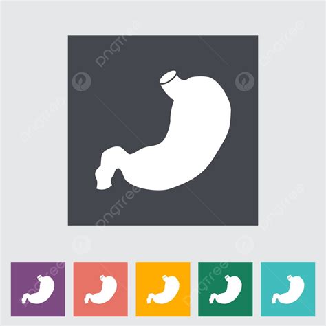 Stomach Icon Empty Vegetarian Famine Vector, Empty, Vegetarian, Famine ...