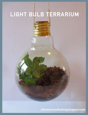 The Adventures of Making: Light bulb terrarium